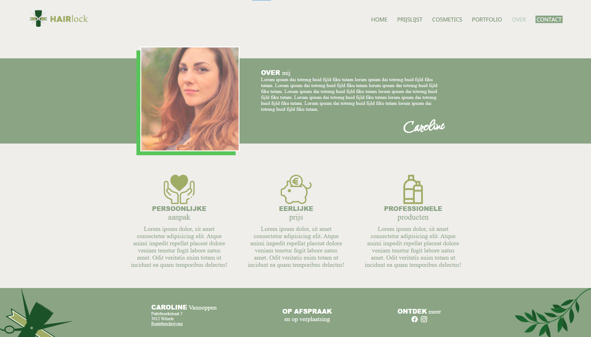 An image of the home page from Hairlock